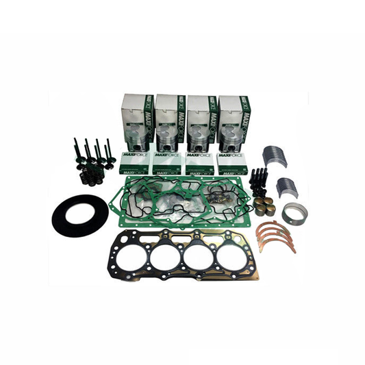 3024 Engine Overhaul Kit