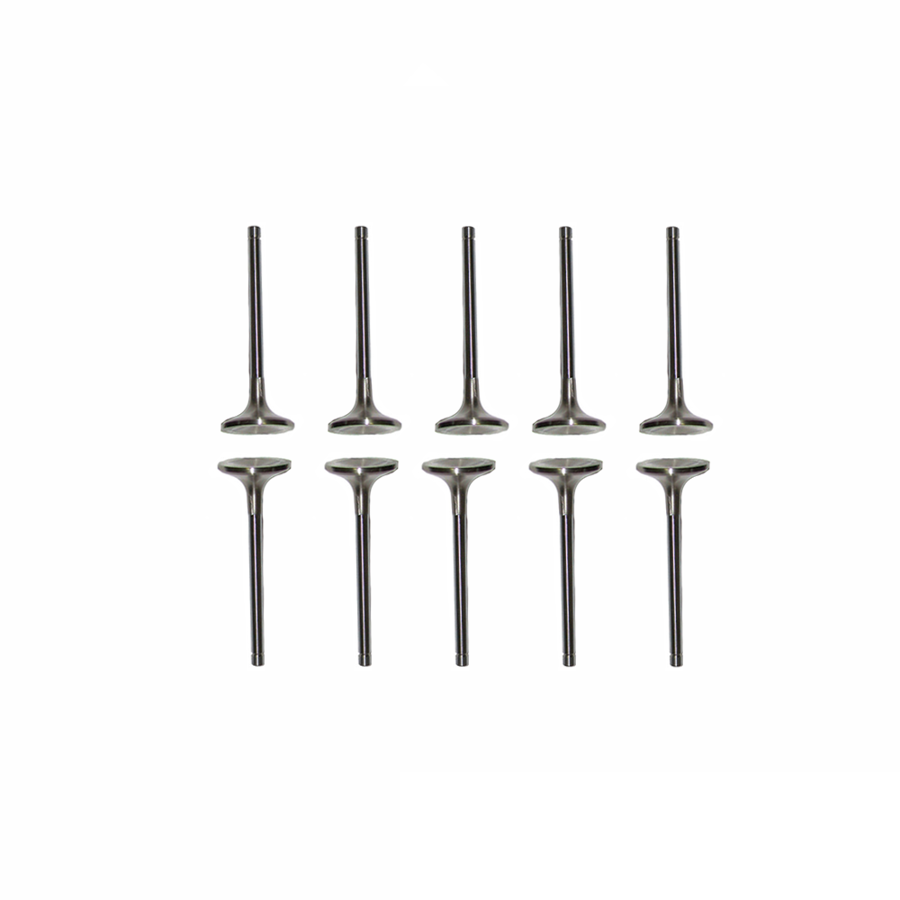 5.9L Dodge Intake and Exhaust Valve