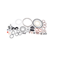Stanadyne Gasket Seal Kit for Industrial DB2 Fuel Injection Pump (33814)